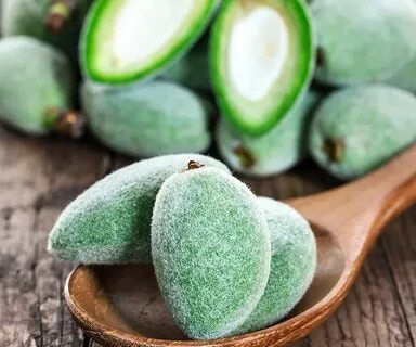 خرید بادام درختی تازه + قیمت فروش استثنایی